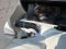 2027 Hyundai PALISADE HYBRID SEL 7 Passenger