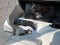 2027 Hyundai PALISADE HYBRID SEL 7 Passenger