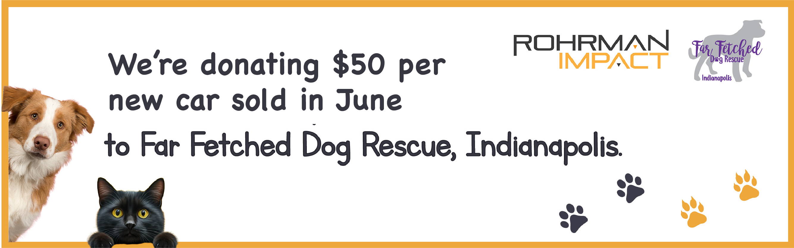 Far Fetched Dog Recue