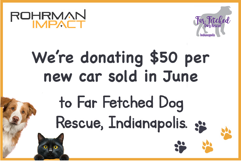 Far Fetched Dog Recue